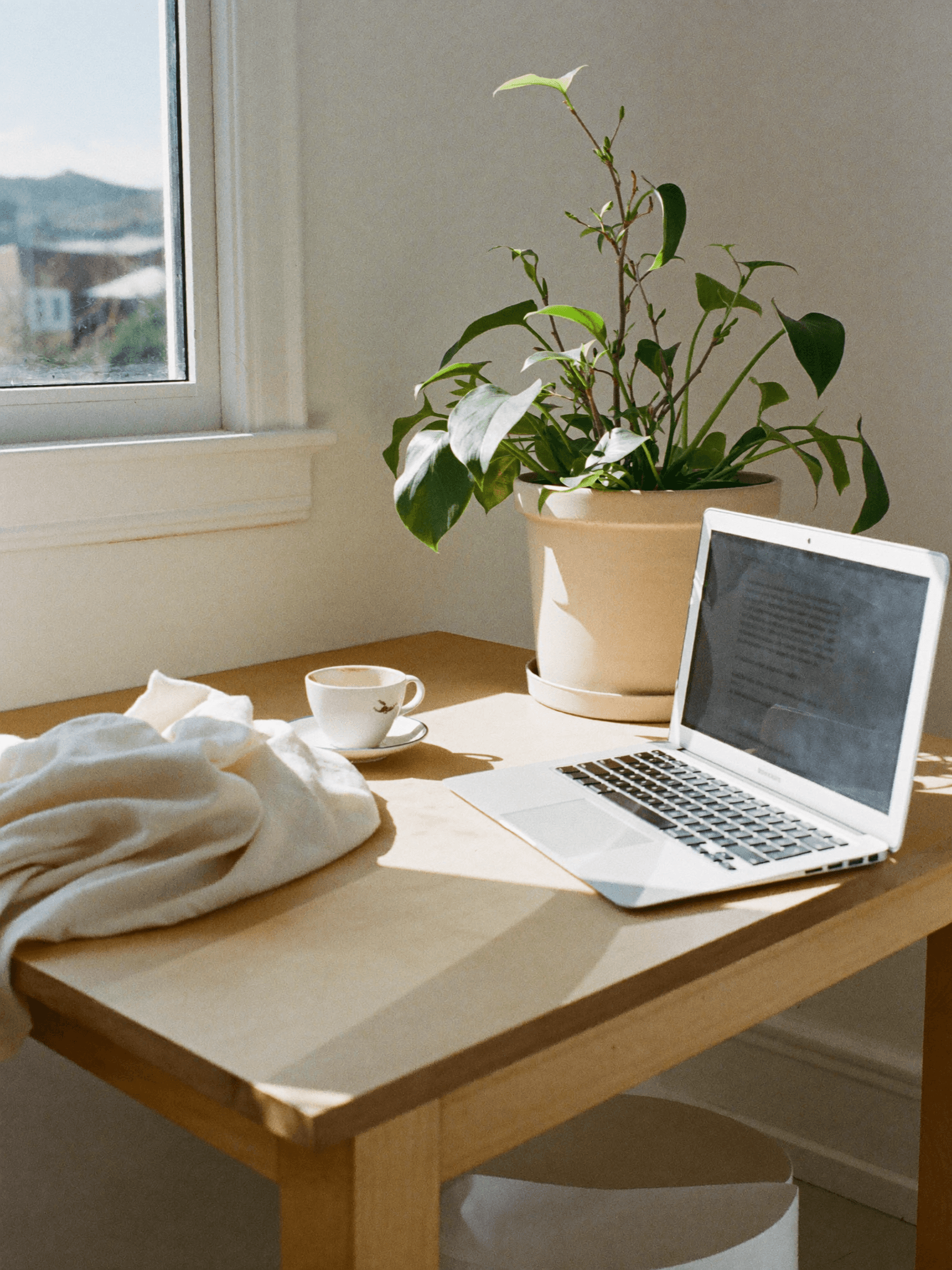 Laptop and coffee on a sunlit table by a window with a plant